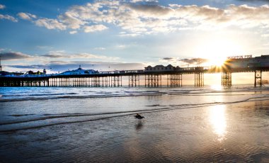 Brighton pier günbatımı, deniz ve martı ön planda, günbatımı gökyüzü,
