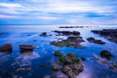 Deniz, kayalar, rottingdean brighton