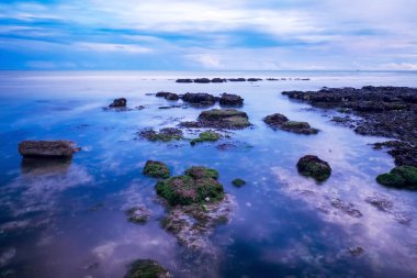 Deniz, kayalar, rottingdean brighton