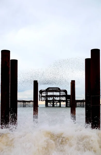 Brighton Reino Unido Abandonado Muelle Oeste Lstanding Arge Postes Metal — Foto de Stock