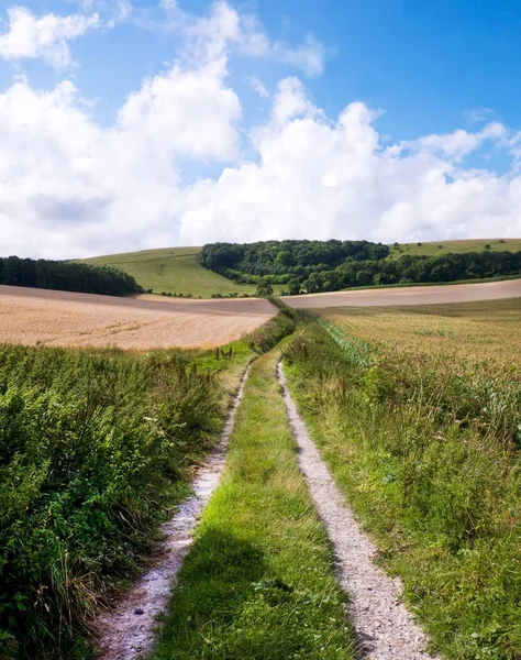 Soth çıkışlar, East Sussex, İngiltere'de, r lider bir ülke lane parça — Stok fotoğraf