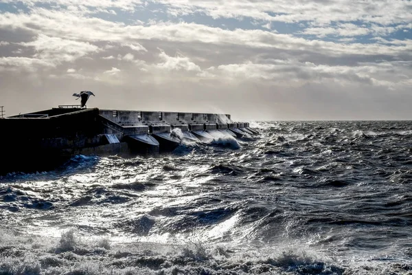 粗糙的海洋撞击布莱顿滨海港口墙, 一个 solit — 图库照片