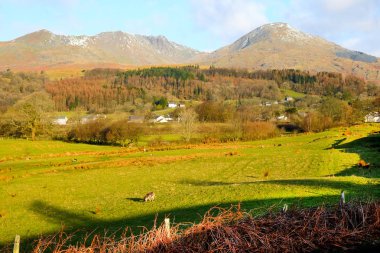 şekiller ve desenler Göller Bölgesi kırsal sahne taş duvarlar 
