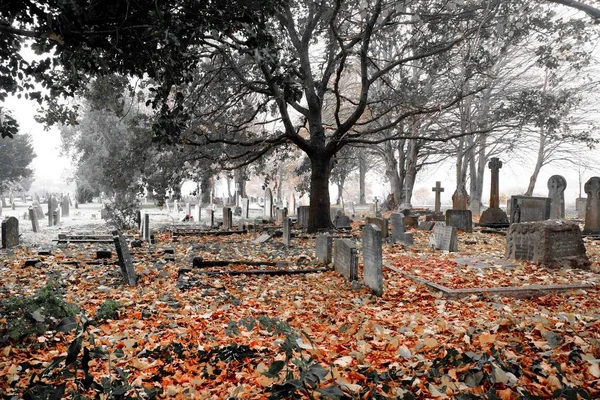 Un cimitero spaventoso nella nebbia autunnale — Foto Stock