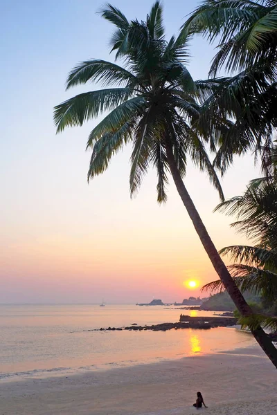 A tropical bay with a calm sea and palm trees glowing red in the — 스톡 사진