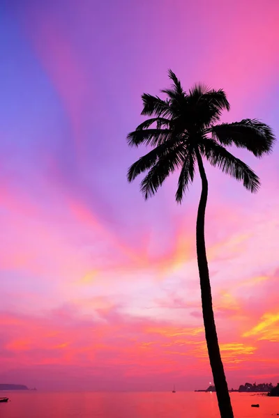 A vibrant red sky and tropical bay with a calm sea and palm tree — 스톡 사진