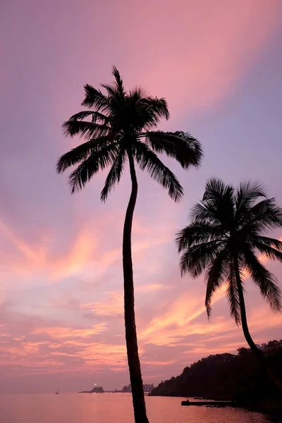 A tropical bay with a calm sea and palm trees glowing red in the — 스톡 사진