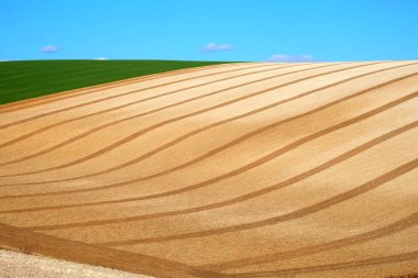 Mavi gökyüzü ve Sussex Downs, Sussex, İngiltere, İngiltere 'de yuvarlanan tarım arazisinin beyaz kabarık bulutları ile pullu bir tarlanın kıvrımlı çizgileri ve grafiksel şekilleri