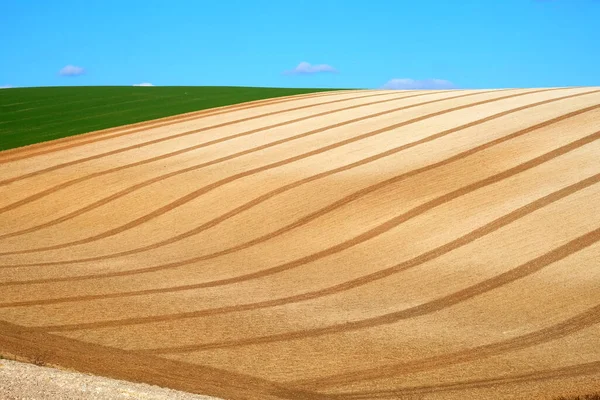 Mavi gökyüzü ve Sussex Downs, Sussex, İngiltere, İngiltere 'de yuvarlanan tarım arazisinin beyaz kabarık bulutları ile pullu bir tarlanın kıvrımlı çizgileri ve grafiksel şekilleri