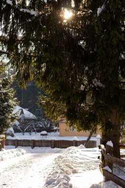 Ukrayna, İvano-Frankivsk bölgesi, Guta köyü.
