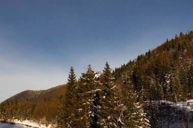 Ukrayna, İvano-Frankivsk bölgesi, Guta köyü.
