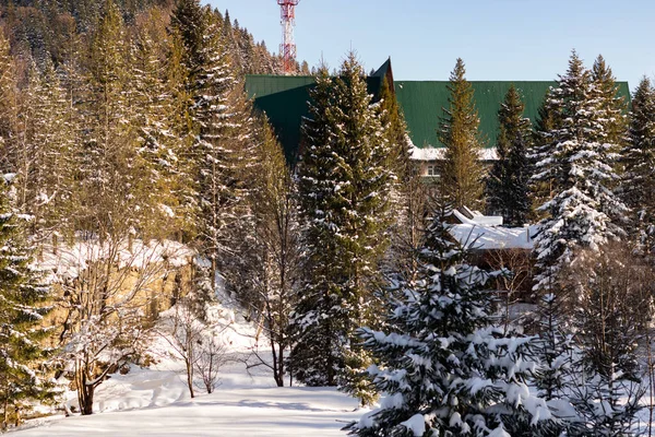 Ukrayna, İvano-Frankivsk bölgesi, Guta köyü.