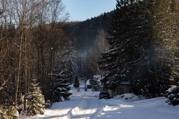 Ukrayna, İvano-Frankivsk bölgesi, Guta köyü.