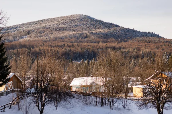 Ukrayna, İvano-Frankivsk bölgesi, Guta köyü.