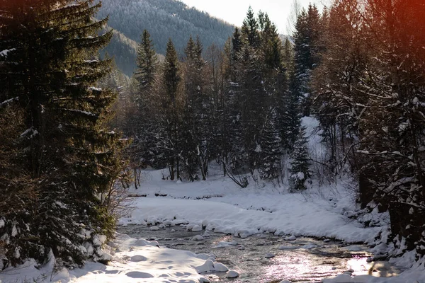 Ukrayna, İvano-Frankivsk bölgesi, Guta köyü.