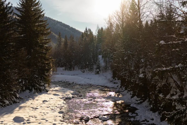 Ukrayna, İvano-Frankivsk bölgesi, Guta köyü.