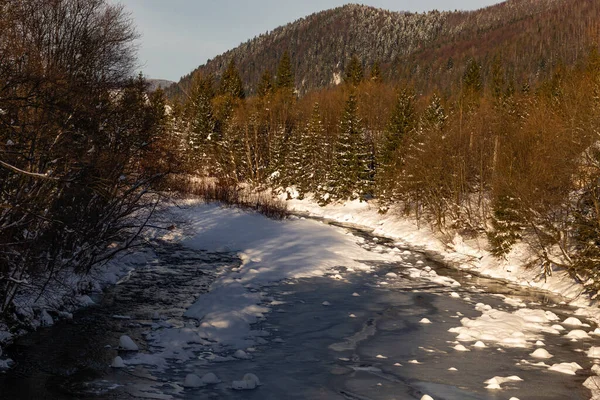 Ukrayna, İvano-Frankivsk bölgesi, Guta köyü.