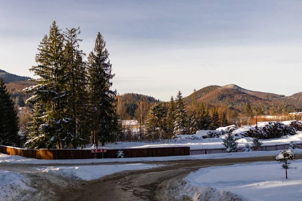 Ukrayna, İvano-Frankivsk bölgesi, Guta köyü.
