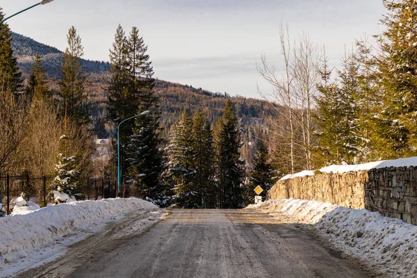 Ukrayna, İvano-Frankivsk bölgesi, Guta köyü.