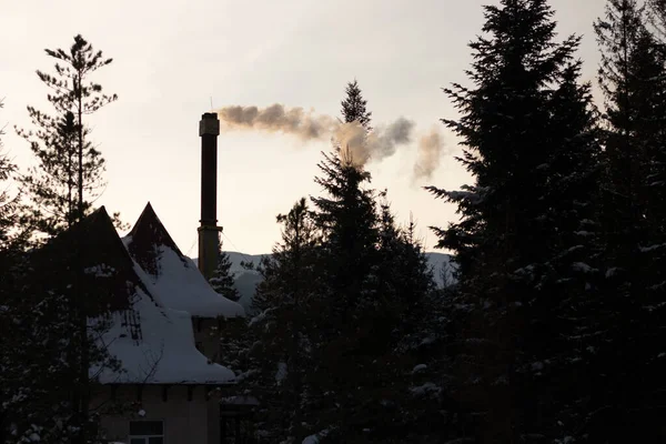 Evde, bacası ve dumanı olan bir evde, ağaçların arasında. Ukrayna, İvano-Frankivsk bölgesi, Guta köyü.