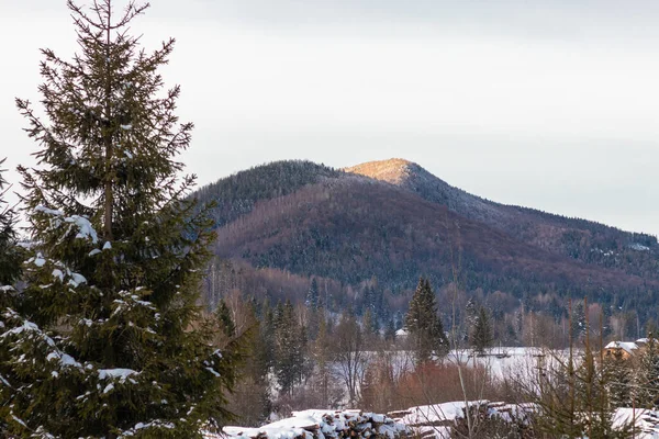 Evde, bacası ve dumanı olan bir evde, ağaçların arasında. Ukrayna, İvano-Frankivsk bölgesi, Guta köyü.