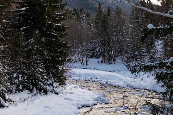 Ukrayna, İvano-Frankivsk bölgesi, Guta köyü.