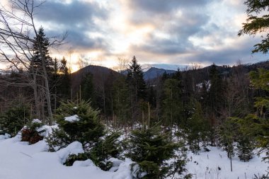 Ormana ve dağlara bakan kış manzarası. Ukrayna, Guta