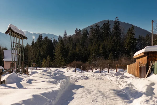 Evde, bacası ve dumanı olan bir evde, ağaçların arasında. Ukrayna, İvano-Frankivsk bölgesi, Guta köyü.