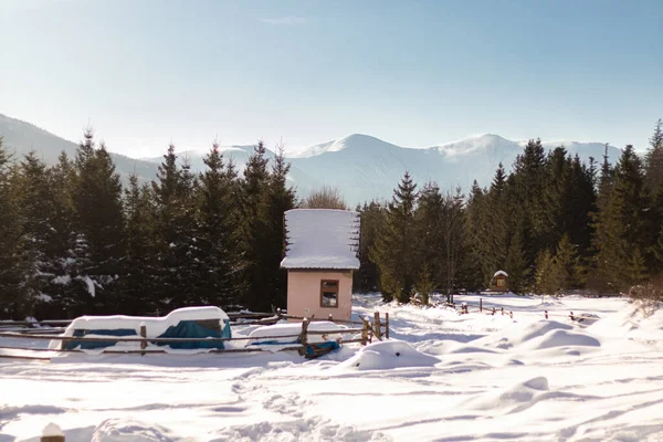 Evde, bacası ve dumanı olan bir evde, ağaçların arasında. Ukrayna, İvano-Frankivsk bölgesi, Guta köyü.