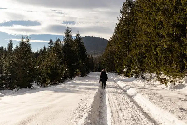 Paisaje Invernal Con Vistas Bosque Las Montañas Ucrania Guta — Foto de Stock