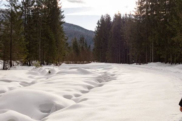 Ormana ve dağlara bakan kış manzarası. Ukrayna, Guta