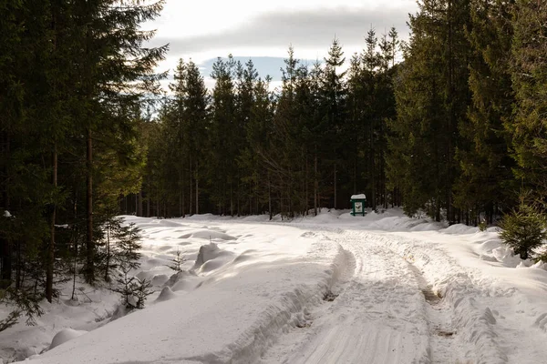 Ormana ve dağlara bakan kış manzarası. Ukrayna, Guta