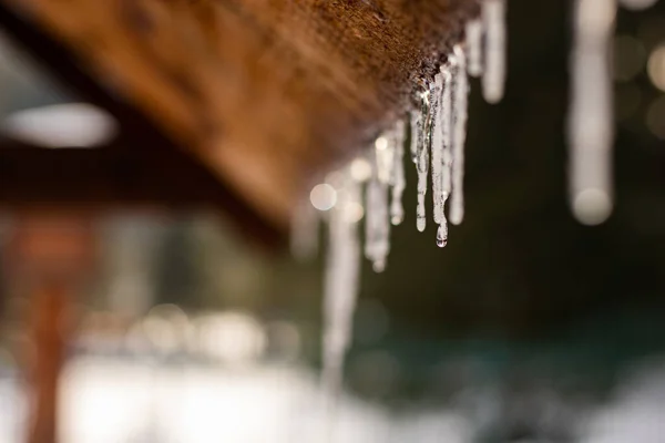 Tahta bir çatıdan buz saçağı süzülüyor.