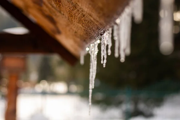 Tahta bir çatıdan buz saçağı süzülüyor.