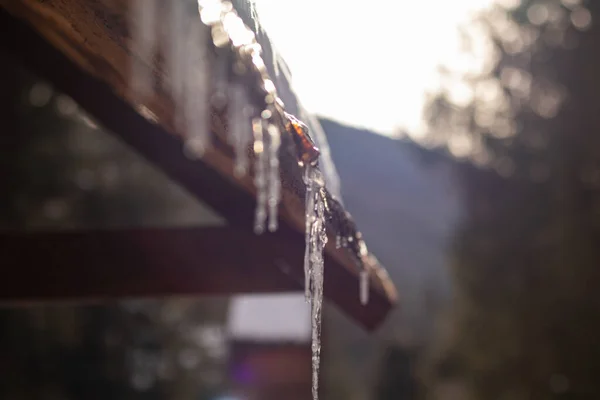 Tahta bir çatıdan buz saçağı süzülüyor.