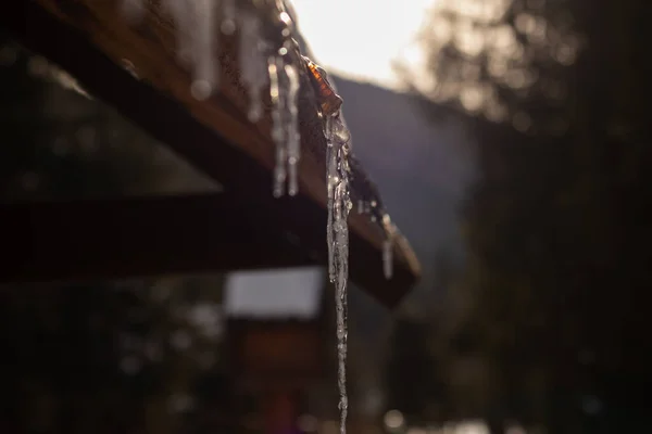 Tahta bir çatıdan buz saçağı süzülüyor.