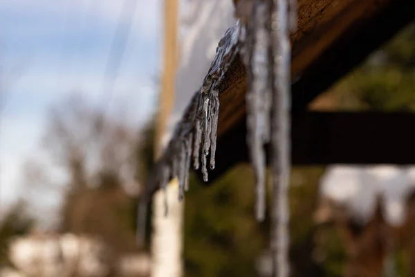 Tahta bir çatıdan buz saçağı süzülüyor.