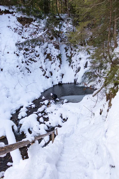 Ukrayna 'da bir ormanda güzel bir şelale.