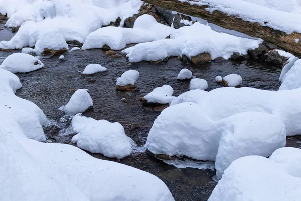 Ukrayna 'da bir ormanda güzel bir şelale.