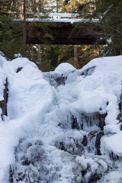 Ukrayna 'da bir ormanda güzel bir şelale.