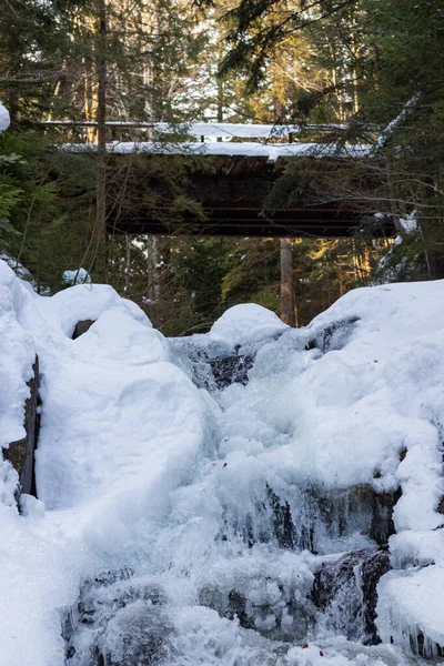 Ukrayna 'da bir ormanda güzel bir şelale.