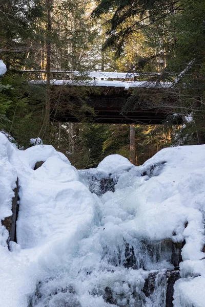 Ukrayna 'da bir ormanda güzel bir şelale.