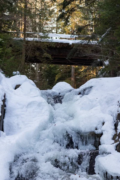 Ukrayna 'da bir ormanda güzel bir şelale.