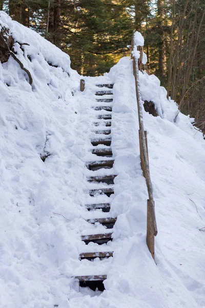 Kışın merdiven ve yeşil kar.