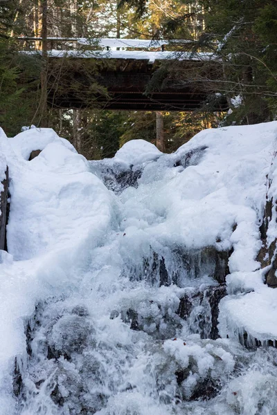 Kışın merdiven ve yeşil kar.