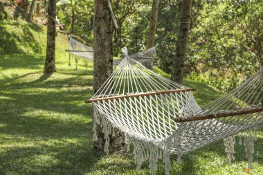 Endonezya 'nın Bali adasında güzel bir tropikal bahçede palmiyeler arasında sıcak hamaklar, yatay oryantasyon