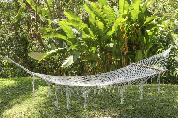 Hamac confortabil între palme într-o frumoasă grădină tropicală din insula Bali, Indonezia, orientare orizontală — Fotografie, imagine de stoc