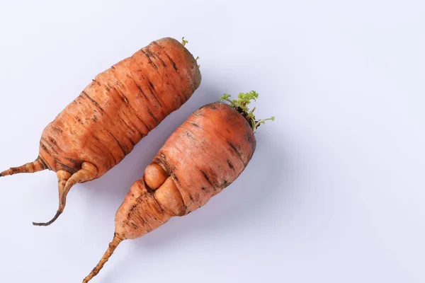 Zanahoria orgánica fea sobre fondo blanco. Concepto compras ambientales, Copiar espacio — Foto de Stock
