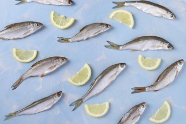 Mavi zemin üzerinde limon dilimleri olan küçük balık deseni, Üst görünüm, Yatay biçim