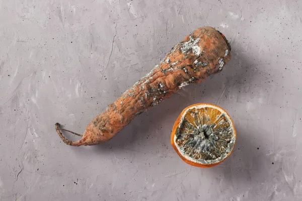 Spoiled rotten foods with mold: carrot and half an orange on gray background, Closeup, Top view